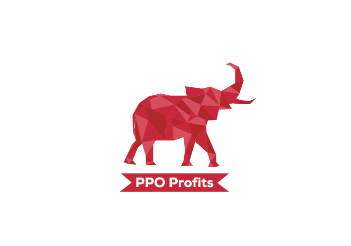 PPO Profits Logo 2022